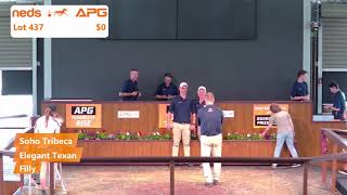 2024 Yearling Sales  Perth [upl. by Mulderig39]