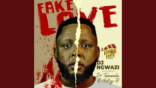 Fake Love feat Dr Tawanda amp NelcyB [upl. by Aridnere]