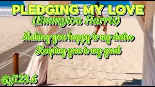 Pledging my Love By Emmylou Harris Song Coverj1236 [upl. by Riobard]