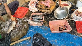 Fish Cutting  Ramnagar Fish Market  PNR Food food cooking fish seafood [upl. by Vihs]