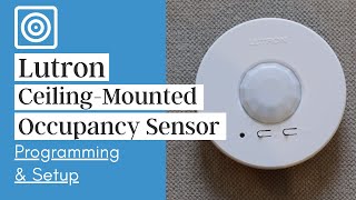 How to Pair Program and Setup Your Lutron CeilingMounted Motion Sensor and Switch [upl. by Savil]