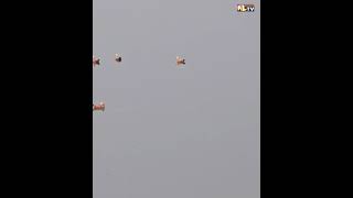 SIBERIAN MIGRATORY BIRDS ARRIVE REELS [upl. by Mosira243]