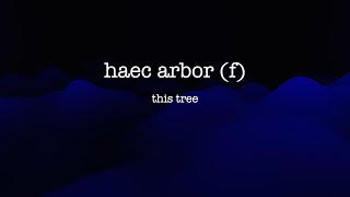 Mastering Latin Declension of HAEC ARBOR [upl. by Ready275]