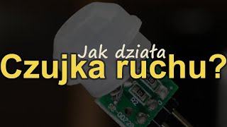 Jak działa czujka ruchu RS Elektronika 252 [upl. by Noyk770]