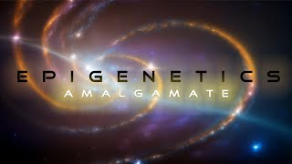 Epigenetics  Amalgamate Official Music Video [upl. by Arelc]