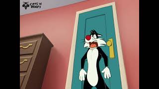 Sylvester the Cat  Running Original Animation [upl. by Speroni]