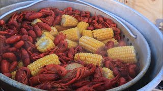 How to boil crawfish Louisiana Cajun crawfish boil [upl. by Reppiks327]