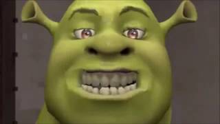 SHREK DANCING LOOP 10 MINUTES MUST SEE PART 2 [upl. by Alemahs]