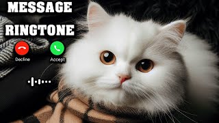 New Message Tone 2024Message RingtoneSMS RingtoneMgs Ringtone [upl. by Ahsino]