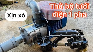 Thử bộ tưới xịn xò chạy điện nhà 1 pha bơm đa tầng cánh inox  béc ROCKET 38  ống chữa cháy [upl. by Ahasuerus950]