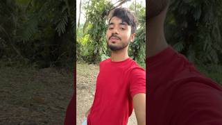 Xemeka botor trending minivlog summer explore assam vlog shortvlog [upl. by Airam]