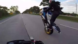 s1000rr cbr1000 gsx1000 cbr650f er6n r3 wheelie TH [upl. by Charbonnier299]