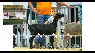 New Opportunities at the Nebraska State Fair [upl. by Jamima721]