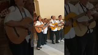 Rondalla IAM Saltillo Presentación Asilo de Ancianos [upl. by Yobybab791]