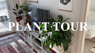 Plant tour  Winter plant care  Living alone in Helsinki [upl. by Meakem]