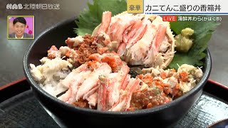 カニてんこ盛りの香箱丼！ かほく市「海鮮丼 わら」 [upl. by Gonzalo]