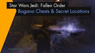 Star Wars Jedi Fallen Order  All Bogano Chests and Secrets Locations Collector [upl. by Springer981]