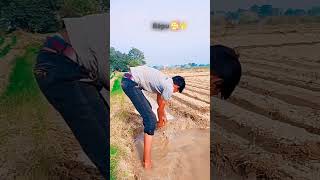 Mail mer l trending comedy areitanakoipagalnahosake comedyfilms [upl. by Aisatana]