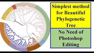 Phylogenetic Tree Construction iTol Genomewidestudy [upl. by Garv]