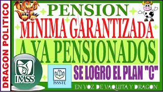 1142🔥PENSIÒN MÌNIMA GARANTIZADA PARA YA PENSIONADOS 😃👍✅ pension noticias ayudasocial pagos [upl. by Ardnyk]