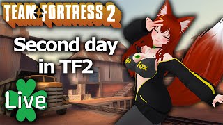 Second day in TF2 because it was really fun Bonus Stream [upl. by Ardnuassak]