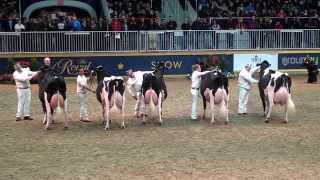 2014 Royal Winter Fair Holstein Show  Grand Champion [upl. by Woodsum]