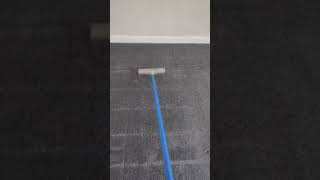 Todays raking session 🤪 carpetraking asmr carpetcleaning bliss satisfying youtube [upl. by Seabury]