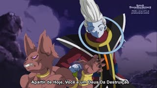 Como Surgiram os DEUSES DA DESTRUIÃ‡ÃƒO em DRAGON BALL SUPER HISTORIA de BILLS e WHIS [upl. by Cheung]