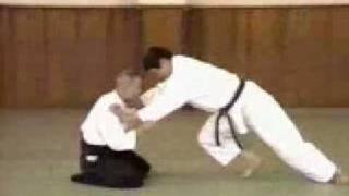 Aikido  Master Shioda Gozo [upl. by Auqinom836]