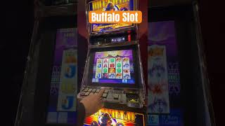 You can win with this Buffalo Slot Strategy in Las Vegas cashout buttonslapper [upl. by Ahsinelg]