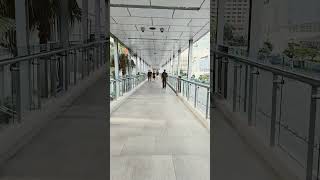 R Walk Bangkok Pt 2 [upl. by Sitruc]