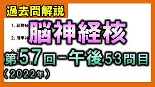 【過去問解説：第57回国家試験午後53問目】脳神経核【理学療法士・作業療法士】 [upl. by Issac457]