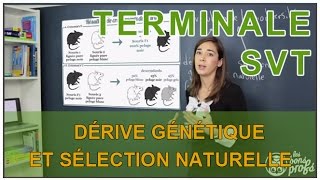 Dérive génétique et sélection naturelle dans lespèce humaine [upl. by Oicaroh]