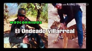 Los Sembradores  El ondeado Villarreal en vivo🌲🌴 [upl. by Nedrud]