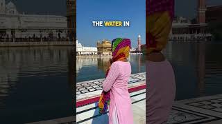 I visited the Golden temple in Amritsar  temple india shorts travel [upl. by Llehsyt781]