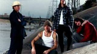 Red Hot Chili Peppers  Road Trippin live [upl. by Asaph764]