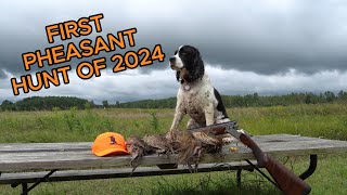 First Pheasant Hunt of 2024 [upl. by Chretien]