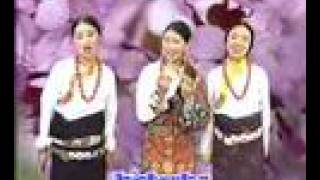 Tibetan songWishes Amdoབོད་གཞས། སྨོན་འདུན། 藏歌 [upl. by Llyrad]