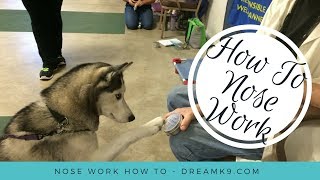 Nose Work  How to start training your dog  DreamK9com [upl. by Nivrag385]