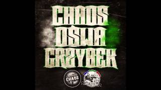 CHAOS feat LOGO DZIELNICY  WEBSTER TO CO WE MNIE SIEDZI [upl. by Kcerred871]