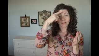 ASL Tips for New Interpreters noncert [upl. by Haye]