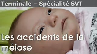 Les accidents de la méiose  trisomie et monosomie  SVT  Terminale [upl. by Bernadine]