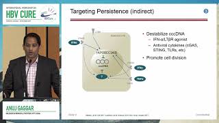 CCC – DNA inhibition  Anuj Gaggar MD PhD [upl. by Claudie]