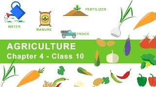 Agriculture  Chapter 4 Geography NCERT Class 10 [upl. by Enelie621]