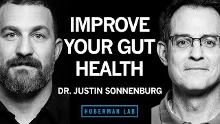 Dr Justin Sonnenburg How to Build Maintain amp Repair Gut Health  Huberman Lab Podcast 62 [upl. by Lorelie]