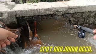 MANCING Di spot grojokan kecil micro fishing [upl. by Orvas583]