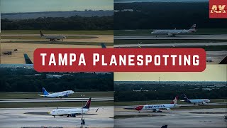 Tampa International Airport TPA Plane Spotting [upl. by Sandry]