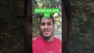 বন্ধু কাজল ভ্রমরা রে popular bangla song vatialisongbengali 🌺 [upl. by Edyth]