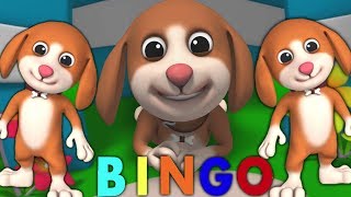 Bingo Le Chien  Comptine  Chanson Pour les enfants  3D Rhymes  Preschool Songs  Bingo the Dog [upl. by Kelleher]