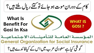 what is gosi saudi arabia I gosi benefits I gosi account kaise banaye I Benefits For Gosi In Ksa [upl. by Iong]